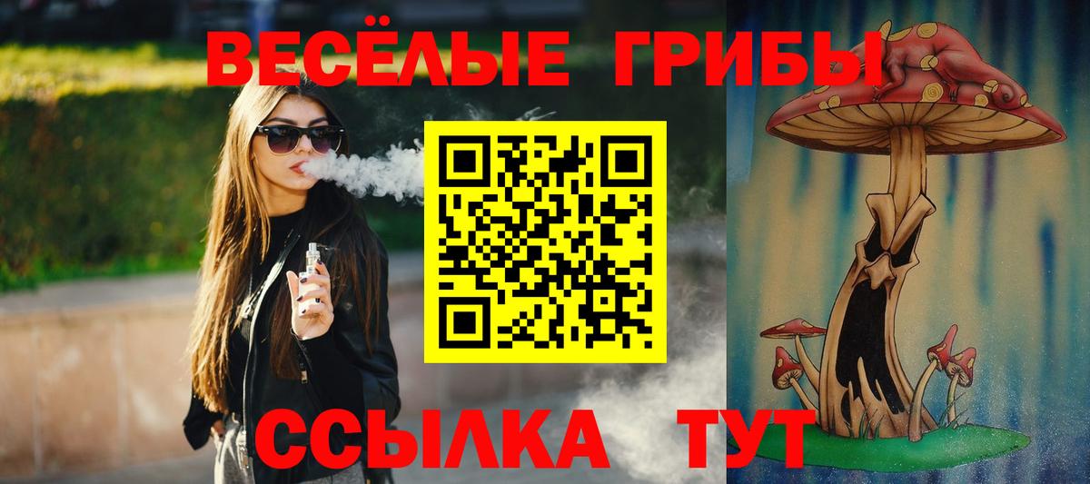 Галлюциногенные грибы Psilocybine cubensis Красноперекопск